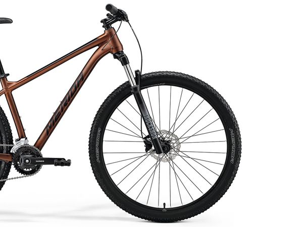 MATT BRONZE (BLACK)