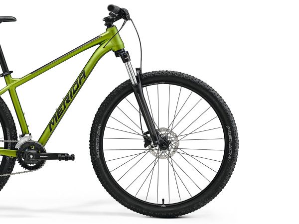 Matt Fall Green (Black)