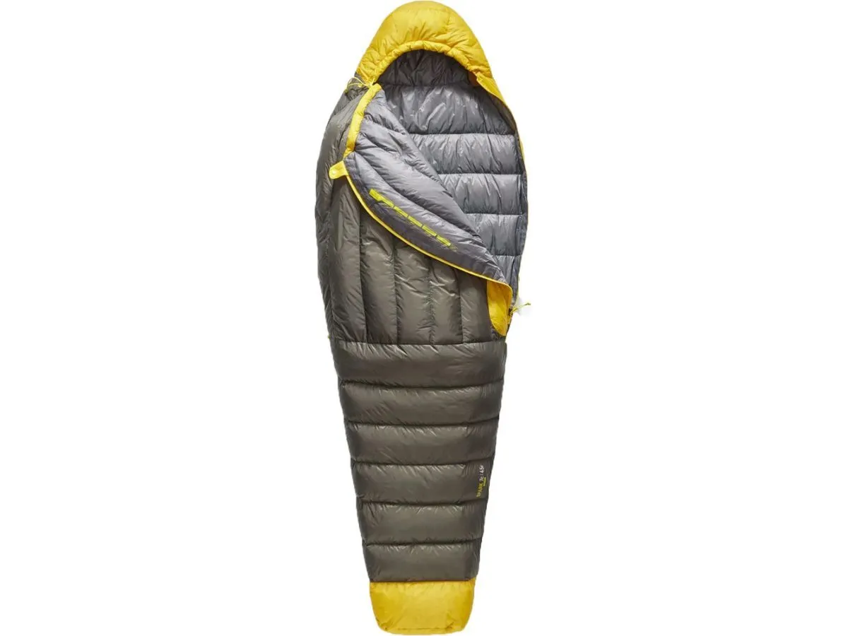 Bolsa de Dormir Sea To Summit Spark Regular