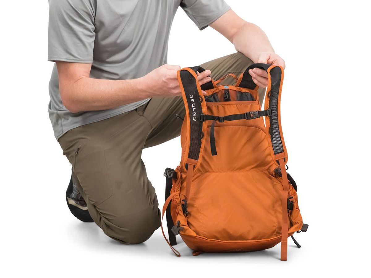 Osprey aether daypack on sale